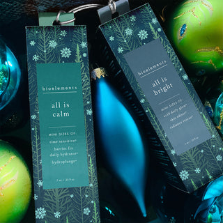all is bright ornament